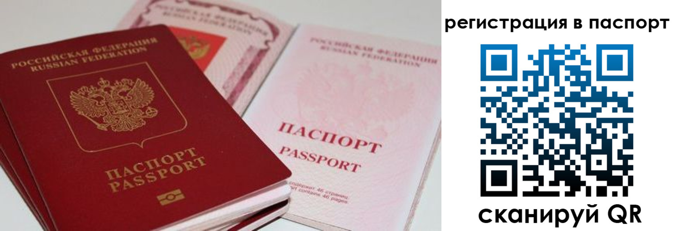 найти адрес прописки в Клинцах